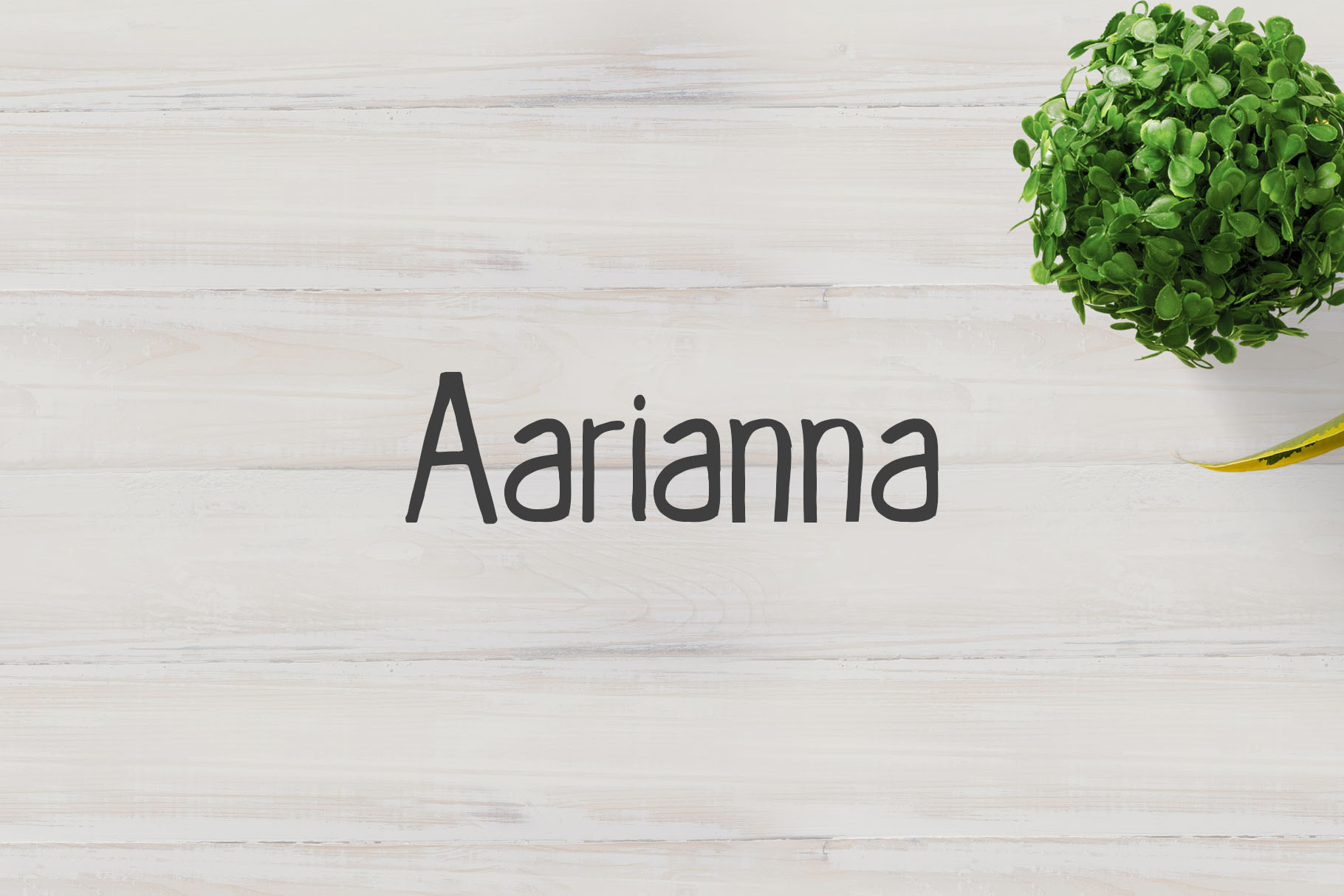 Aarianna: A Comprehensive Evaluation for Informed Decision-Making