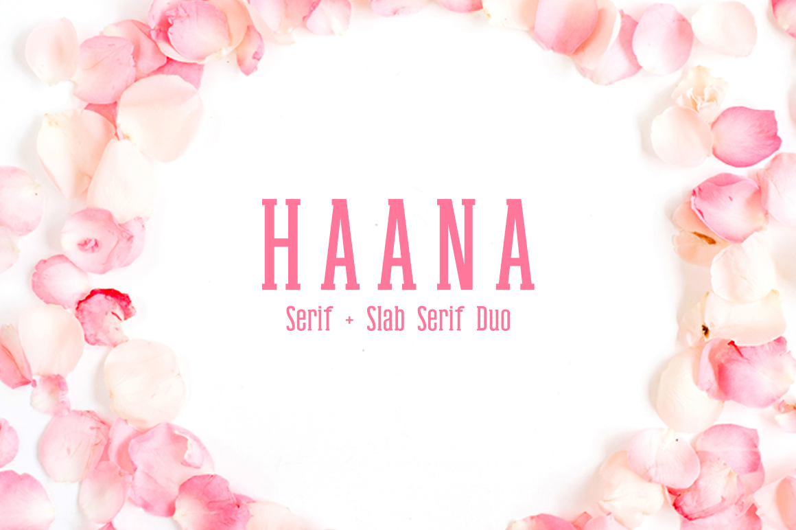 Beyond the Single Solution: How Haana Duo Reshapes Collaborative Workflows