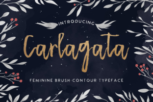 Carlagata: A Typeface That Balances Character with Clarity