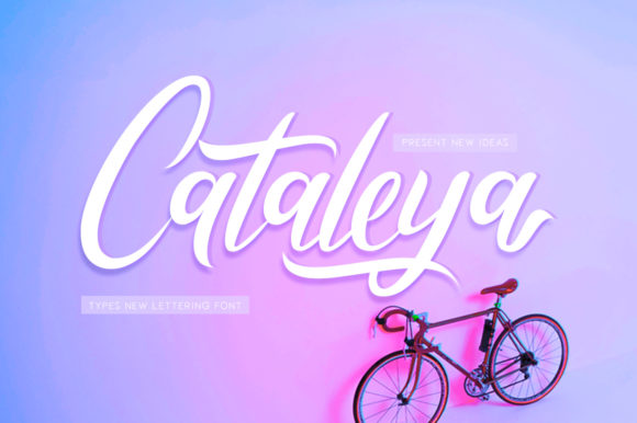 Cataleya and the Evolution of Real-Time Communications Infrastructure
