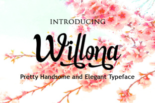 Elevating Brand Identity with Willona