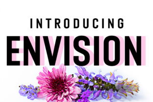 Envision as a Strategic Tool: What It Is and How It Compares to Other Planning Approaches