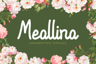 Evaluating Meallina: A Practical Guide for Informed Decisions