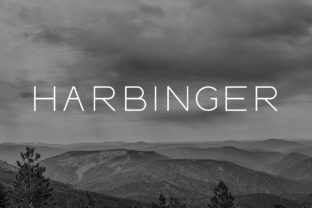 Harbinger: A Practical Guide to Strategic Foresight in Your Daily Workflow