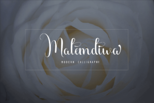 Malemdiwa: A Premium Font for Brand Identity and Design