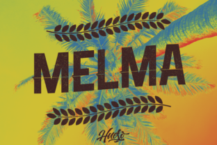 Melma: A Practical Guide to Avoiding Common Mistakes and Getting the Most Out of Your Experience