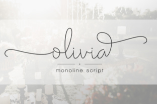 Olivia Script: Elevating Brand Visuals