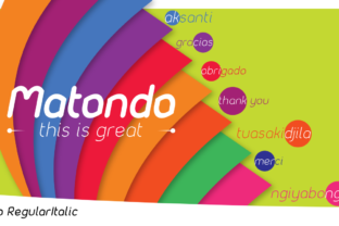 The Allure of Matondo Regular Italic: Common Pitfalls and How to Avoid Them