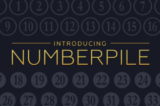 Understanding Numberpile for Strategic Decision-Making