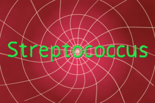 Understanding Streptococcus Beyond the Doctor's Office