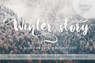 Winter Story: Crafting Seasonal Narratives That Resonate in a Saturated Market