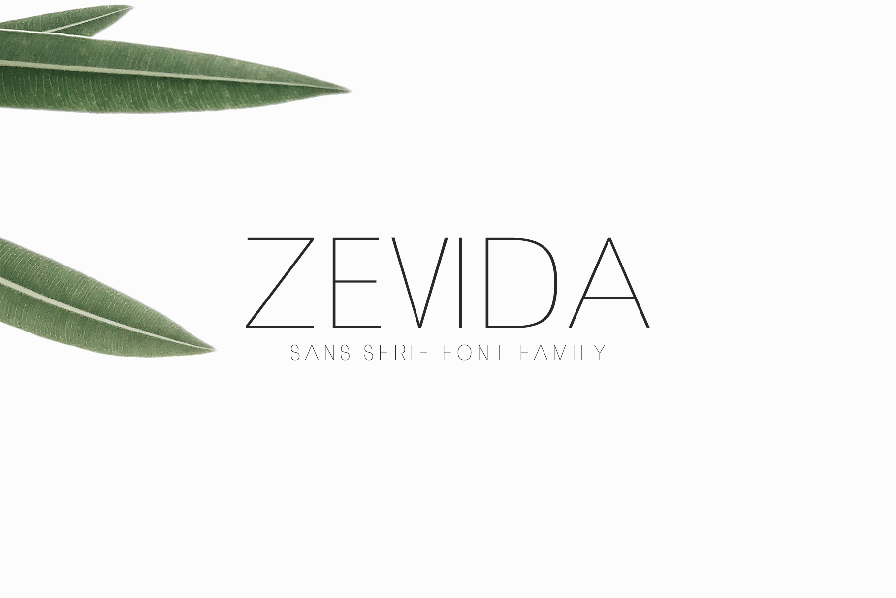 Zevida and the Architecture of Adaptive Digital Experiences